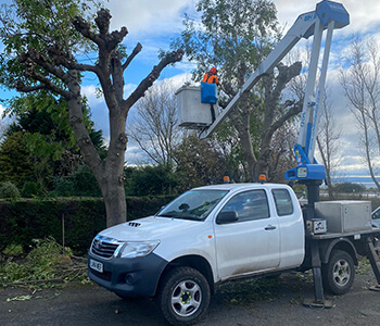Cherry Picker and Operater Fife