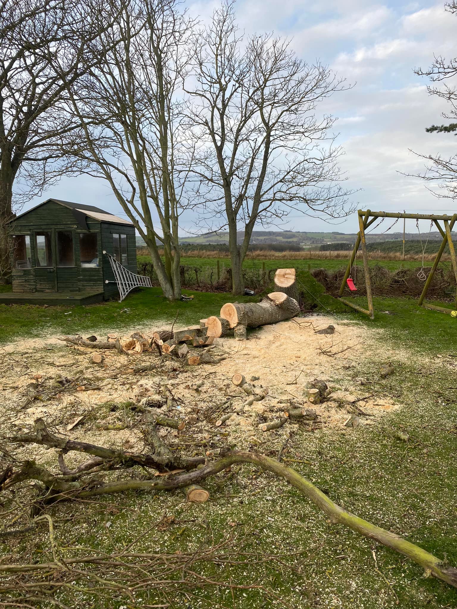 Fife Based Forestry Company | Tree Surgeons Fife