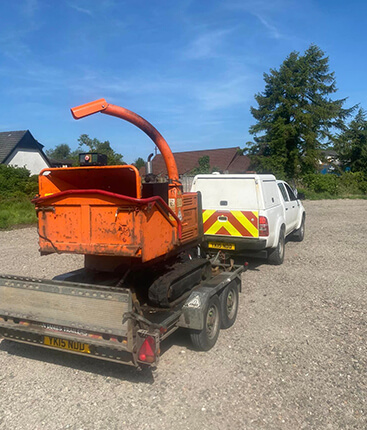 tree-surgeon-st-andrews