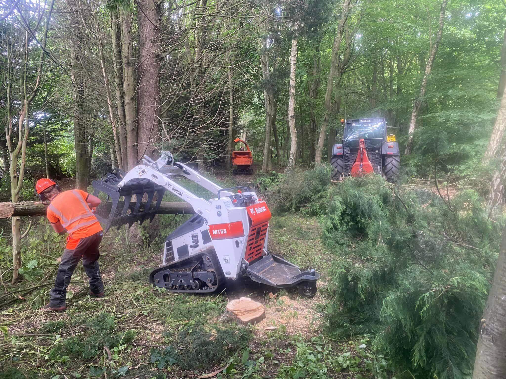 forestry service glenrothes