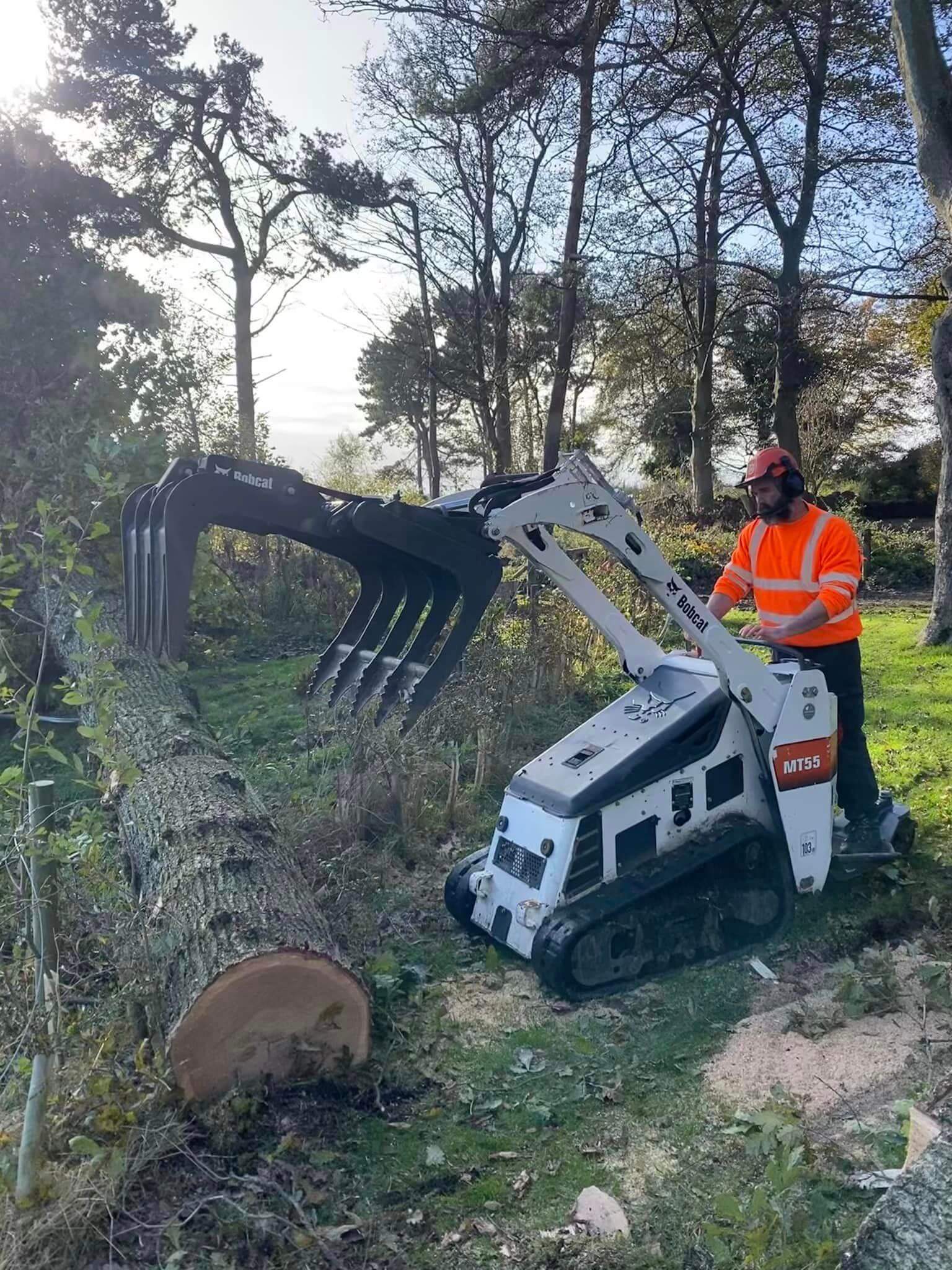 arborist rosyth