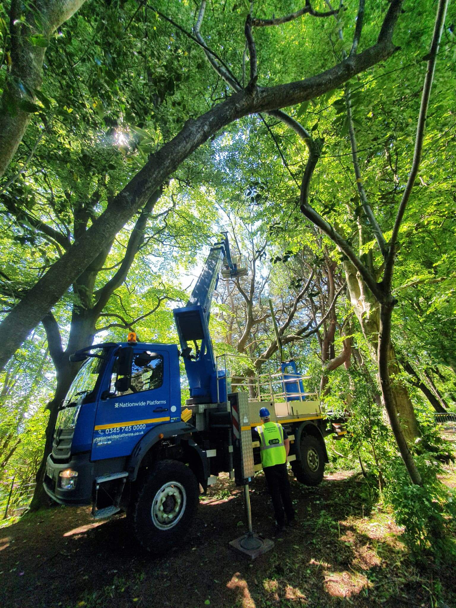 best tree surgeons leven fife